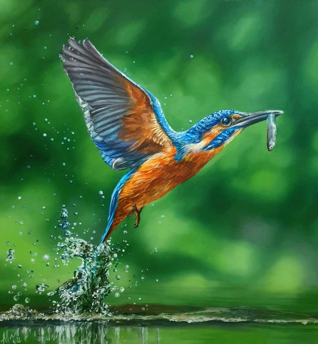 Kingfisher